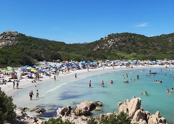 Seaside - Rent From July 4, 2026, To July 25, 2026 Baja Sardinia